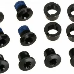 Race Face Vis De Plateau Aluminium/Torx